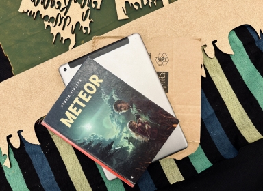Billede af bogen Meteor
