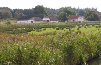 Staldbygninger og stuehuset ved Halkær Mølle foto Mogens Evald Frost