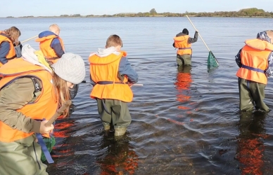Egholm elever fra 4. klasse fisker med rejehov i Limfjorden iført waders