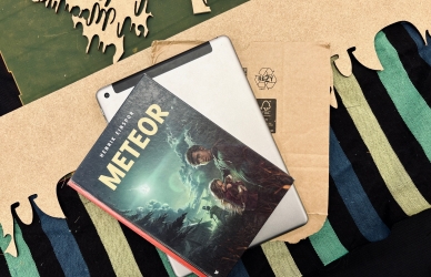 Billede af bogen Meteor